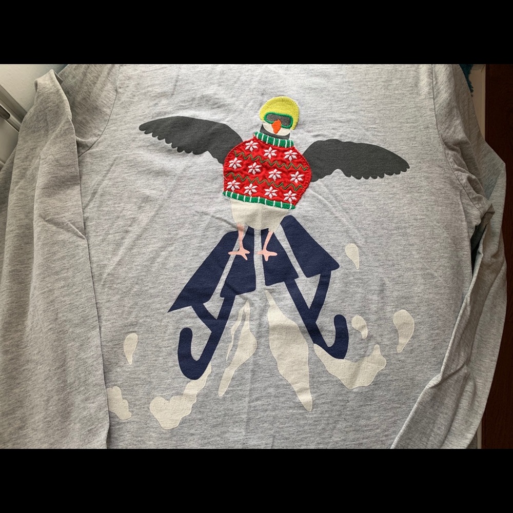 Boys Mini Boden appliqué snowbird on sled tee